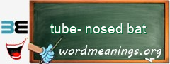 WordMeaning blackboard for tube-nosed bat